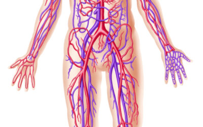 ΠΡΟΚΗΡΥΞΗ – ΑΝΑΚΟΙΝΩΣΗ