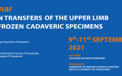 Preliminary Webinar